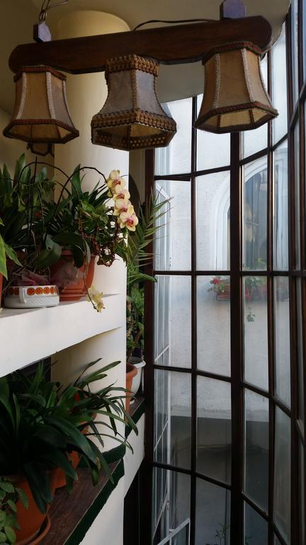 Bed and Breakfast Vila Monica Târgu-Mureş Zewnętrze zdjęcie