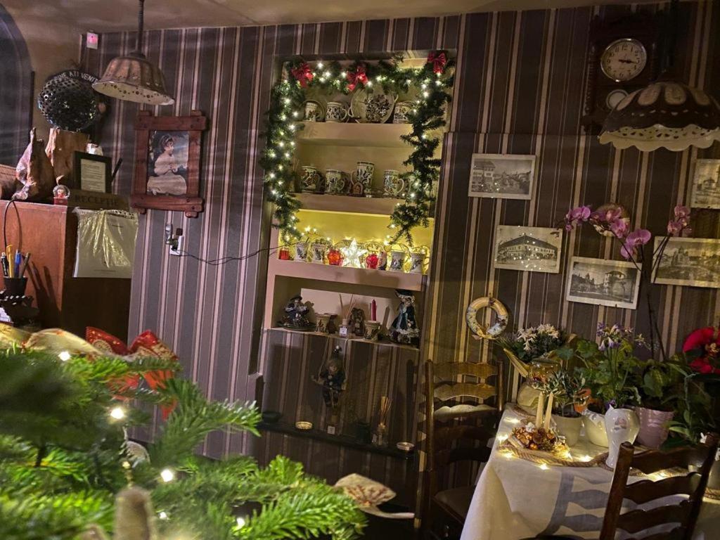Bed and Breakfast Vila Monica Târgu-Mureş Zewnętrze zdjęcie