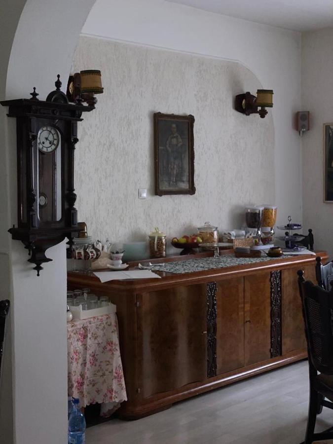 Bed and Breakfast Vila Monica Târgu-Mureş Zewnętrze zdjęcie