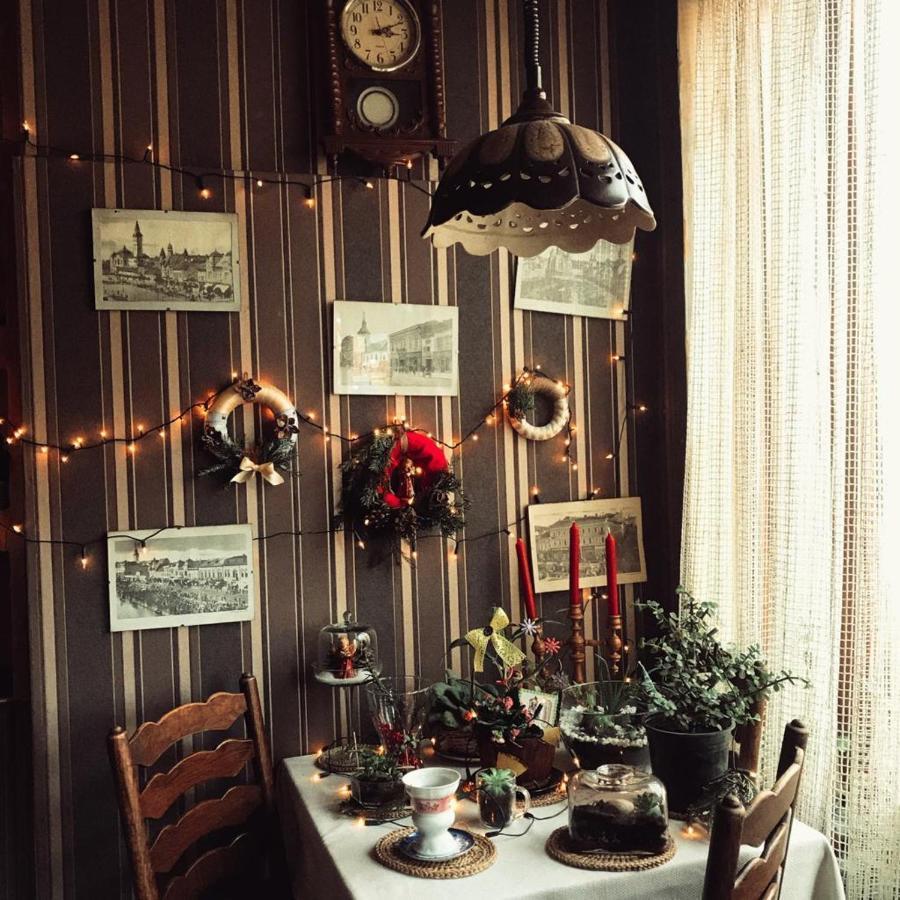 Bed and Breakfast Vila Monica Târgu-Mureş Zewnętrze zdjęcie