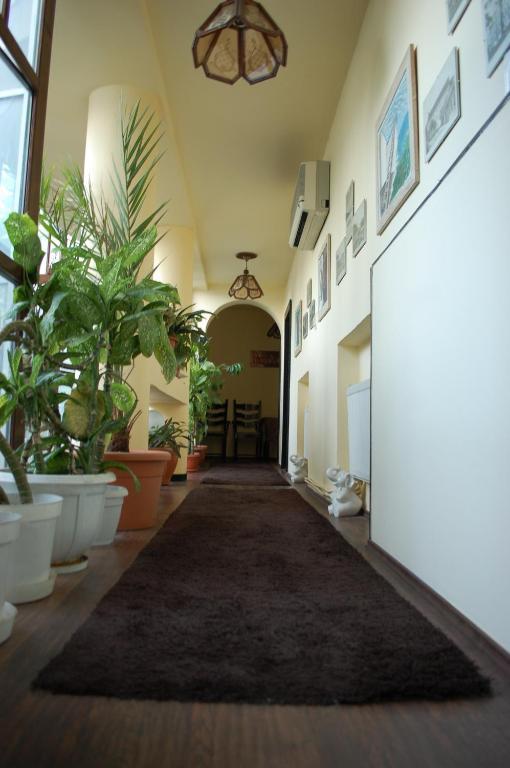 Bed and Breakfast Vila Monica Târgu-Mureş Zewnętrze zdjęcie