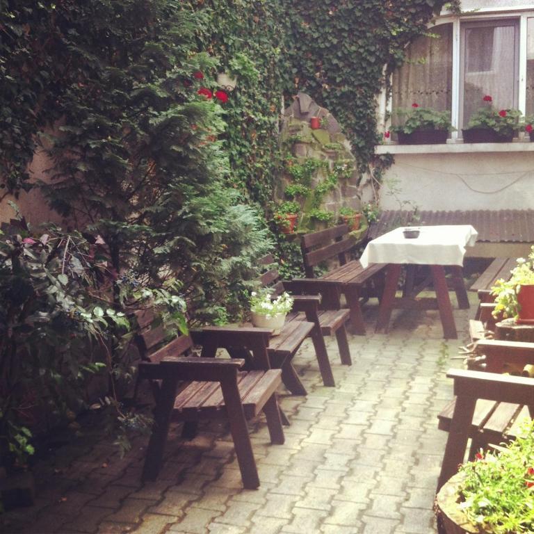 Bed and Breakfast Vila Monica Târgu-Mureş Zewnętrze zdjęcie