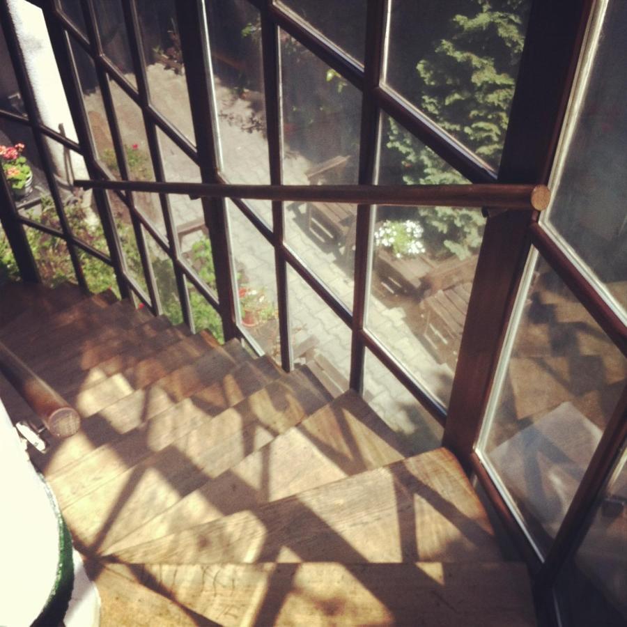 Bed and Breakfast Vila Monica Târgu-Mureş Zewnętrze zdjęcie